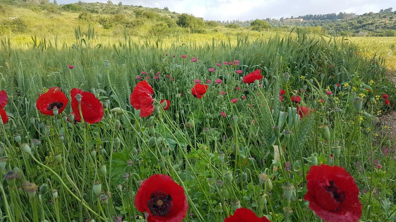 Hemdatya Stone Suites In The Galilee Ilaniya Екстер'єр фото